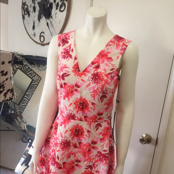 Felicity and coco new dress small size - Picture 6 of 6